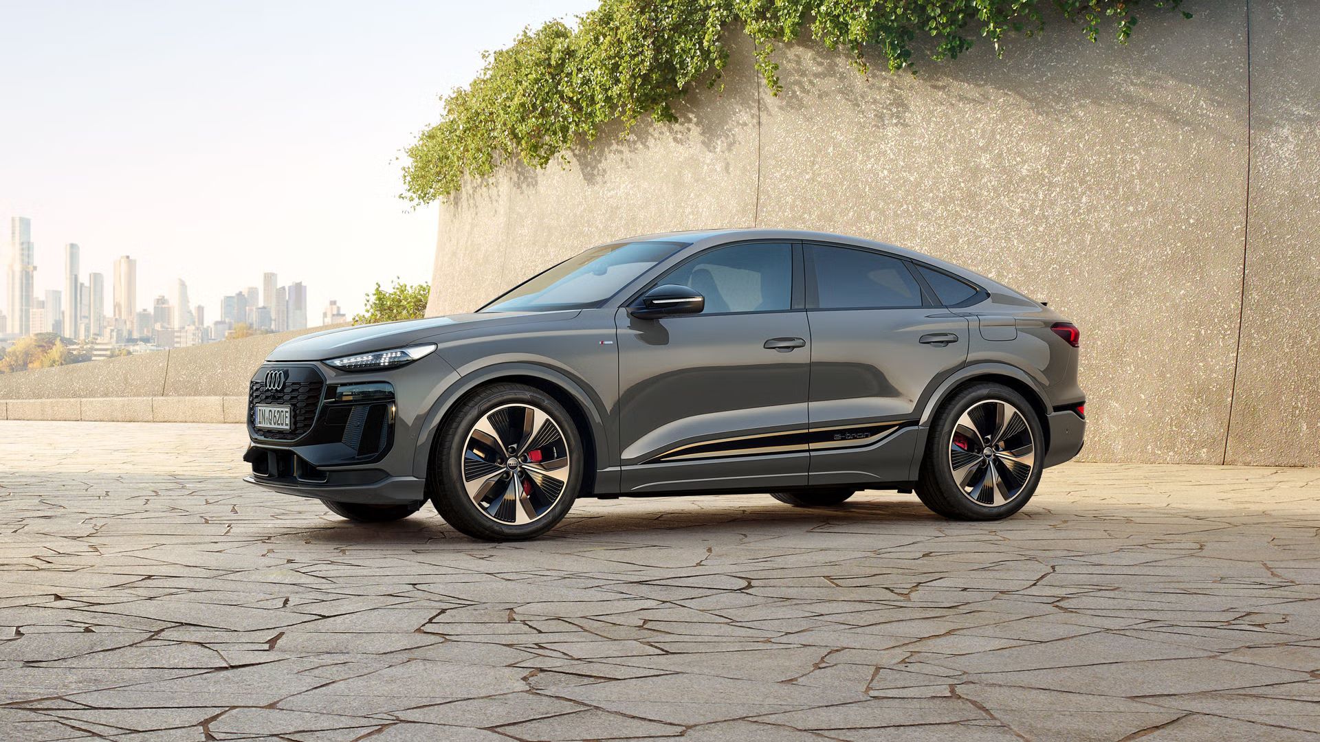 Q6 Sportback e-tron stojí šikmo bokom pred betónovou stenou. V pozadí je vidieť panorámu mesta.